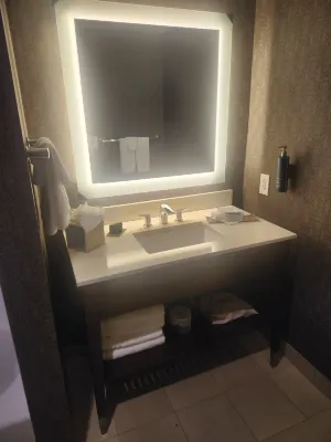 DoubleTree by Hilton Hotel and Suites Charleston Airport Номера Photos