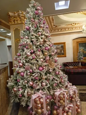 Royal Plaza by Stellar Hotels, Yerevan Общественные зоны Photos