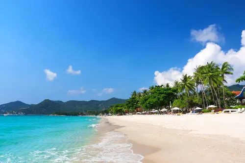 Samui First House Hotel Рядом с отелем Photos