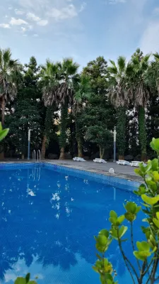 Sunrise Hotel Jungmun Branch Loisirs et amusements Photos
