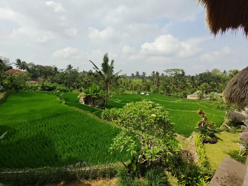 Mesari Hotel Ubud In der Nähe des Hotels Photos