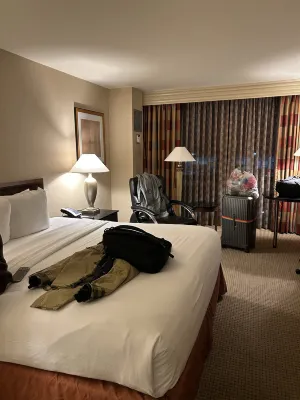 Hilton Chicago O'Hare Airport Rooms Photos