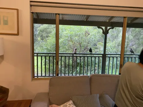 Yallingup Forest Resort Photos