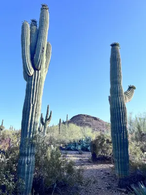 Hilton Phoenix Tapatio Cliffs Resort Near Hotel Photos