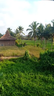 Royal JJ Ubud Resort & Spa Dekat Hotel Photos