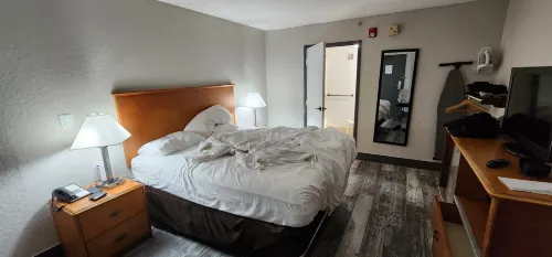 Quality Inn Miami Airport - Doral Rooms Photos