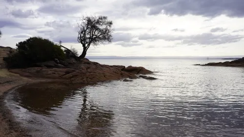 Freycinet Resort À proximité de l'hôtel Photos