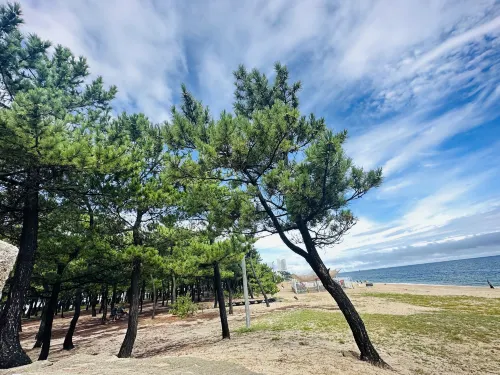 파라다이스모텔 호텔 주변 Photos