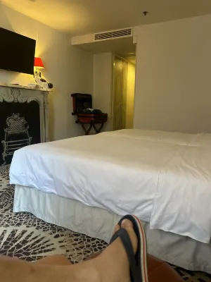 Hilton Chicago O'Hare Airport Rooms Photos