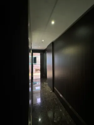 Excelsior Hotel Gallia, a Luxury Collection Hotel, Milan Aree comuni Photos