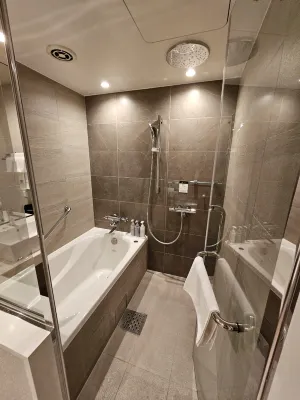 Daiwa Roynet Hotel Tokyo Kyobashi Premier الغرف Photos