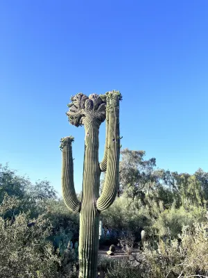 Hilton Phoenix Tapatio Cliffs Resort Near Hotel Photos