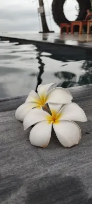 Mai Phương Resort Phú Quốc Photos