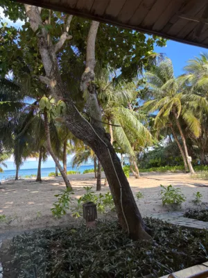 Tan Son Nhat Con Dao Resort À proximité de l'hôtel Photos