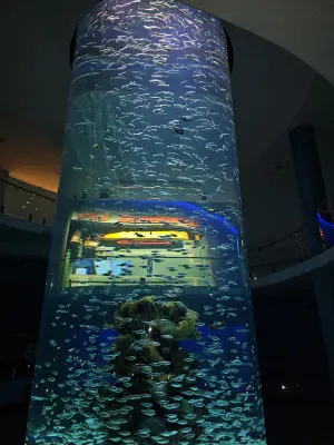 Hard Rock Hotel & Casino Biloxi Espaces publics Photos
