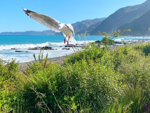 Kaikoura Motor Inn À proximité de l'hôtel Photos