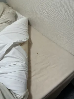 Yokohama Town Hotel Photos