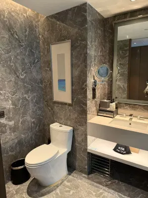 시안 다밍공 Novotel 호텔（룽서우위안지하철역） 객실 Photos