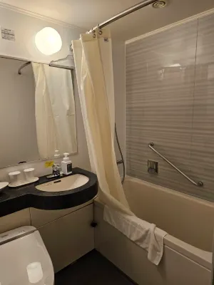 Sotetsu Grand Fresa Tokyo-Bay Ariake Camere Photos