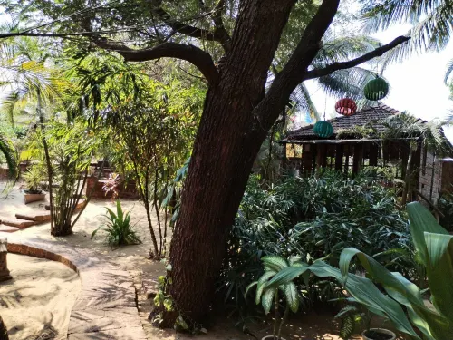 Little India Beach Cottages Photos