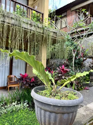 Jati 3 Bungalows and Spa Photos