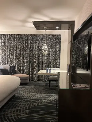 Sofitel Chicago Magnificent Mile Chambres Photos