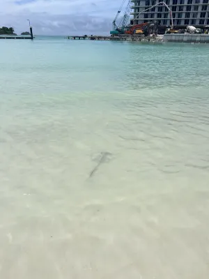 JA Enchanted Waterfront Seychelles بالقرب من الفندق Photos