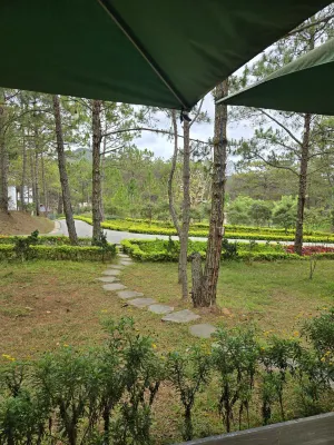 Rừng Lá Kim Resort Xung quanh Photos