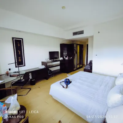 Sintesa Peninsula Hotel Palembang Chambres Photos