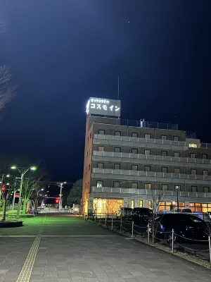 Business Hotel Cosmo Inn Photos