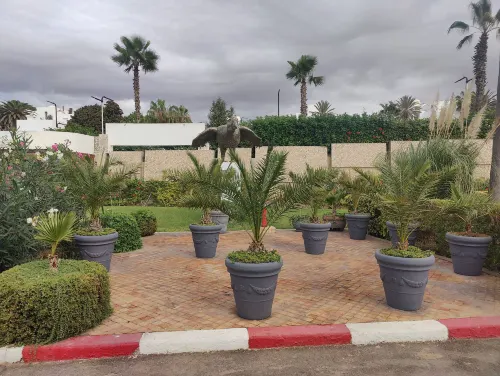 Allegro Agadir Photos