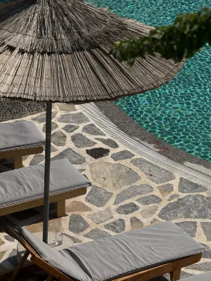 Flamingo Hotel & Spa - Pet Friendly Semester och rekreation Photos