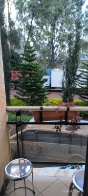 Hotel Miracle الأماكن العامة Photos