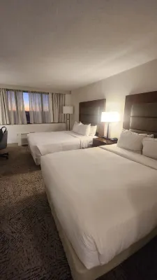 Hilton Arlington National Landing Rooms Photos