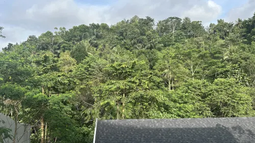 Anantara Ubud Bali Resort Dekat Hotel Photos