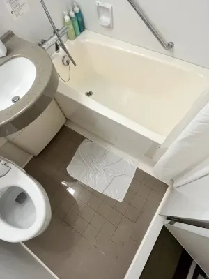 호텔 선루트 플라자 신주쿠 객실 Photos