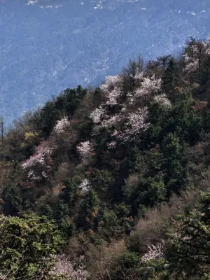 대구그랜드호텔 호텔 주변 Photos