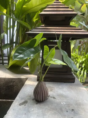 Banthai Village Photos