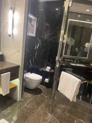Hilton Istanbul Bomonti Camere Photos
