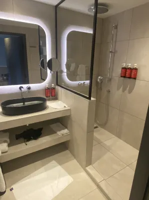 Pullman Lyon Chambres Photos