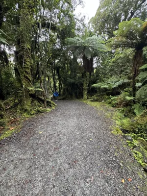 Franz Josef Oasis À proximité de l'hôtel Photos