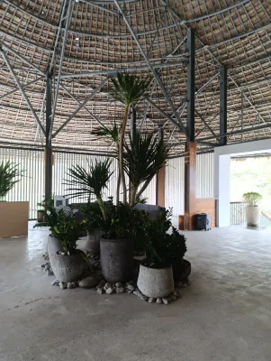 Casa Marina Resort Area Publik Photos