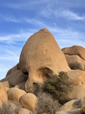 Super 8 by Wyndham Yucca Val/Joshua Tree Nat Pk Area Circondario Photos
