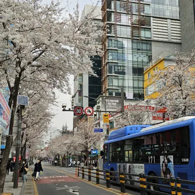 포레스타 호텔 신촌 호텔 주변 Photos