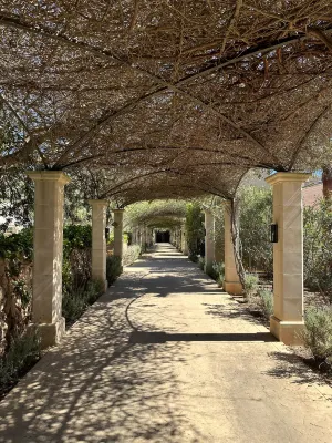 Zoetry Mallorca Wellness & Spa Near Hotel Photos