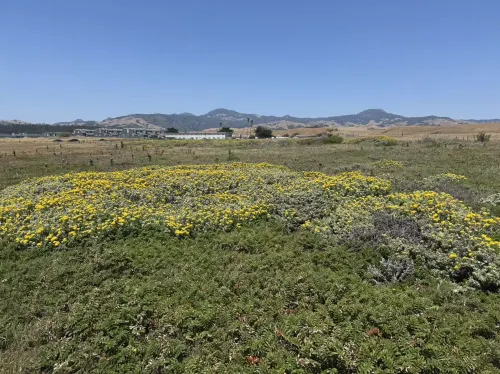 Sea Breeze Inn - San Simeon Hotellin lähellä Photos
