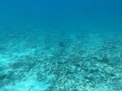 JW Marriott Maldives Resort & Spa Photos