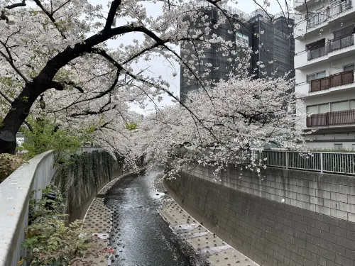 Tokyu Stay Nihonbashi -Tokyo In der Nähe des Hotels Photos