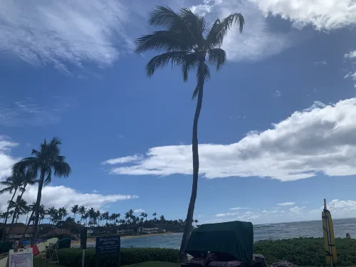 Sheraton Kauai Resort Near Hotel Photos