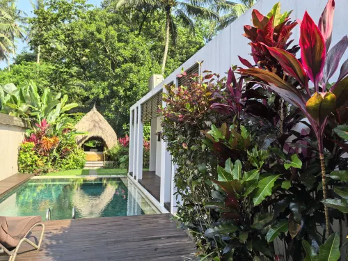 The Samaya Ubud Freizeit und Erholung Photos